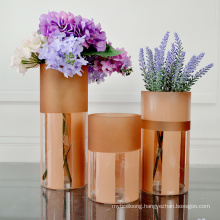 Manufacturers Customize Various Household Ordinary Glass Vases with Different Specifications